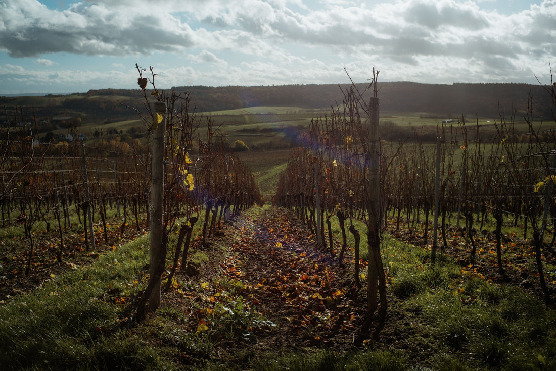 „Null und Nix“: Die Geschichte hinter den Messing Weinen