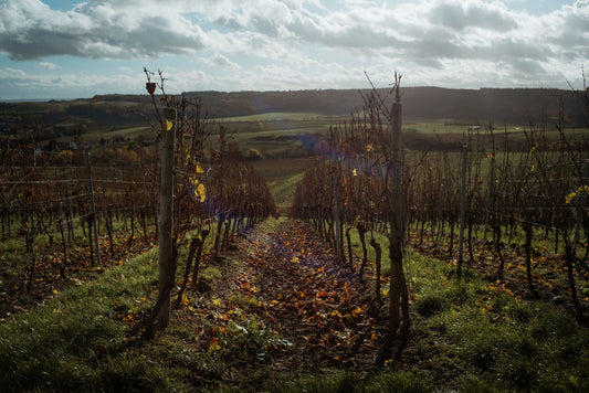 „Null und Nix“: Die Geschichte hinter den Messing Weinen