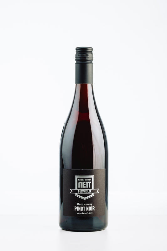 Pinot Noir alkoholfrei von Bergdolt-Reif & Nett – eleganter Rotwein mit Aromen von Sauerkirsche, Morelle und feiner Fruchtsäure